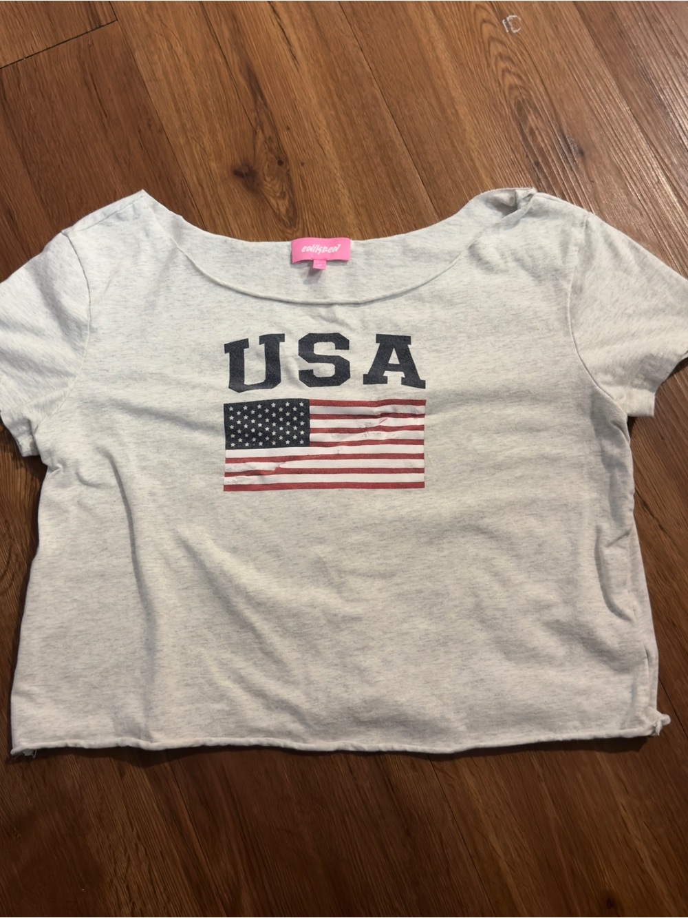 Edikted USA Flag Crop Top